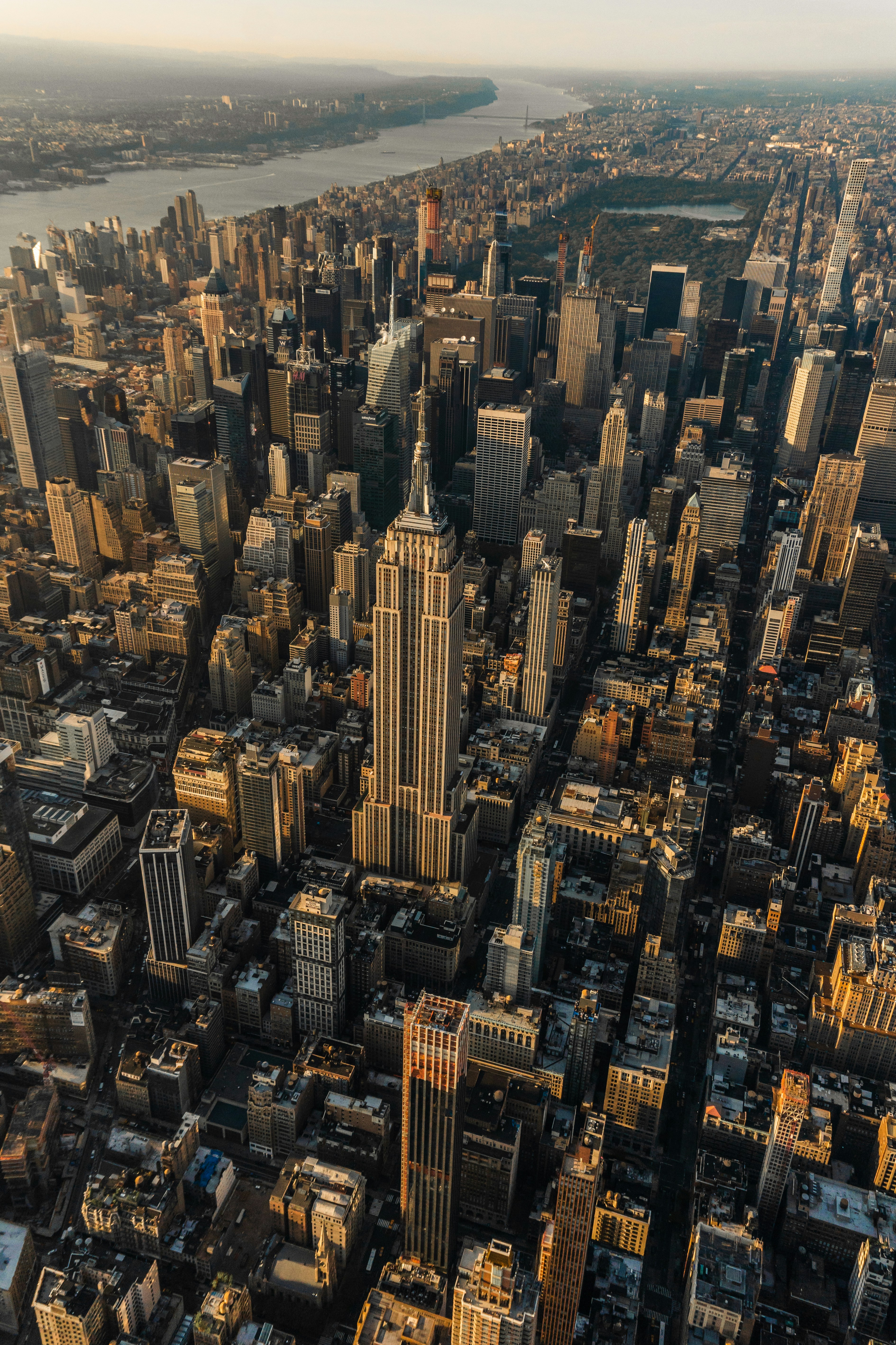 Professional leaders in a business setting